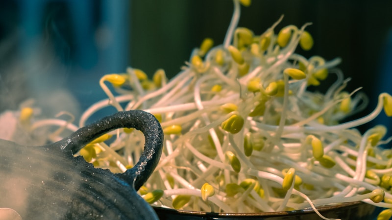 鍋の白菜がない日に役立つ代わり食材まとめ|入れやすい野菜と選び方のコツ