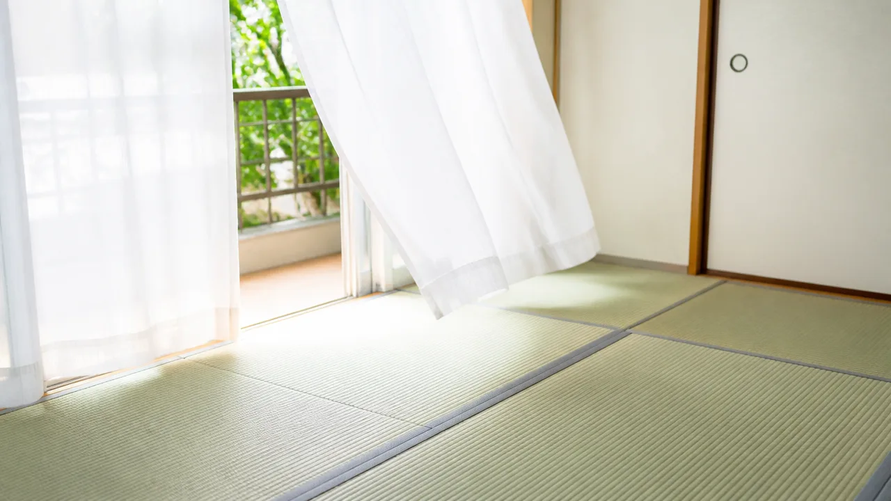畳についた血の落とし方は?シミを広げない応急処置と掃除方法