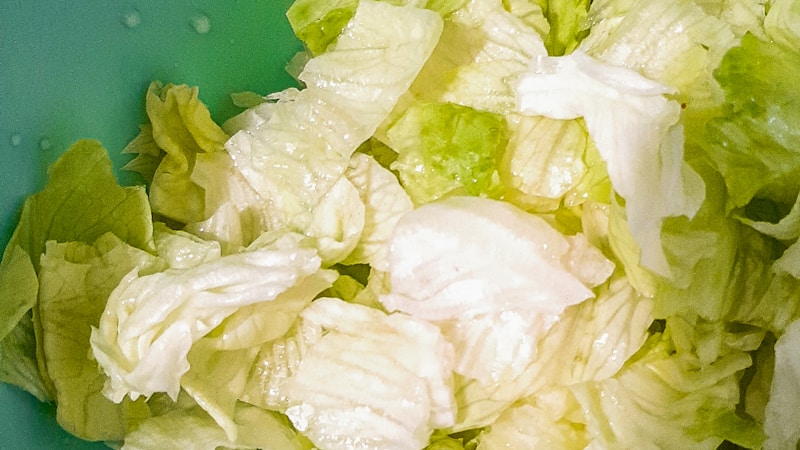 タコライスはキャベツとレタスどっちでもいい？食感と作りやすさで選ぶコツ